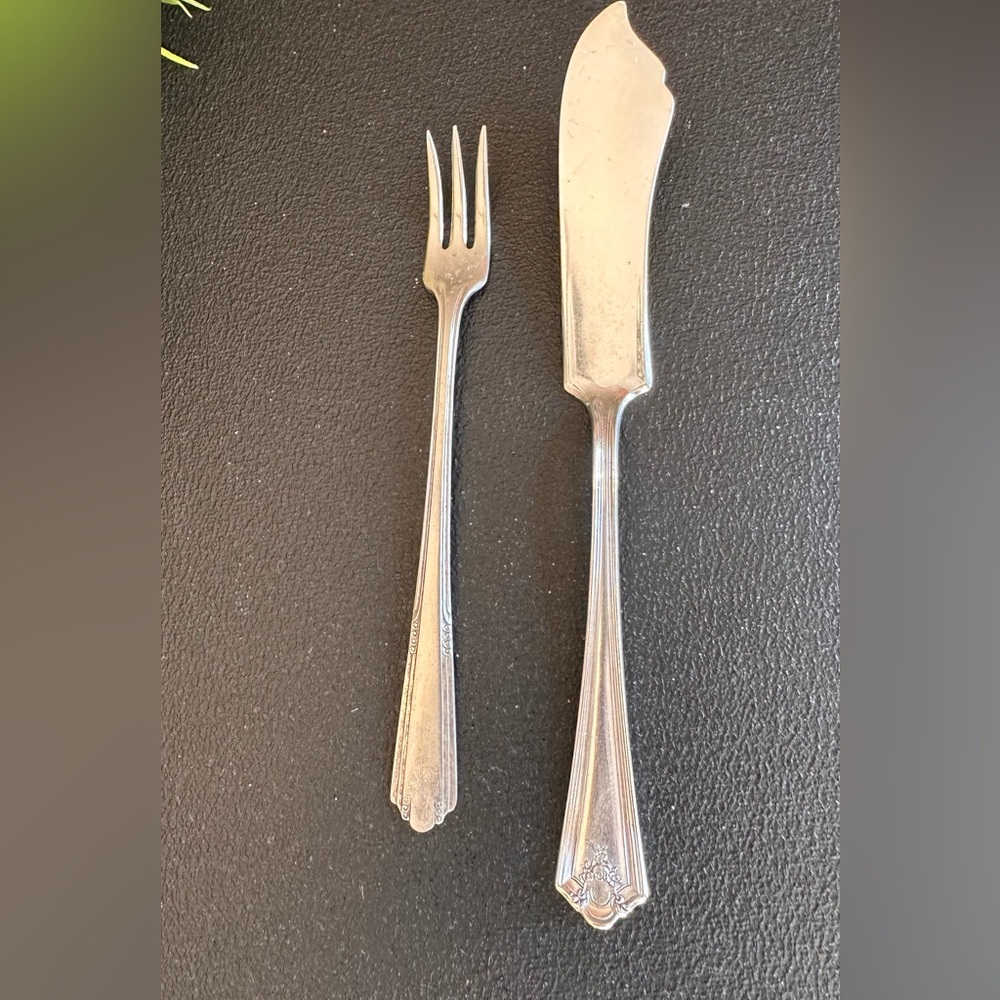 Elegant Silver coated Fork and Knife Set